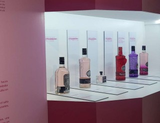 Row of coloured bottles on a brightly lit shelf